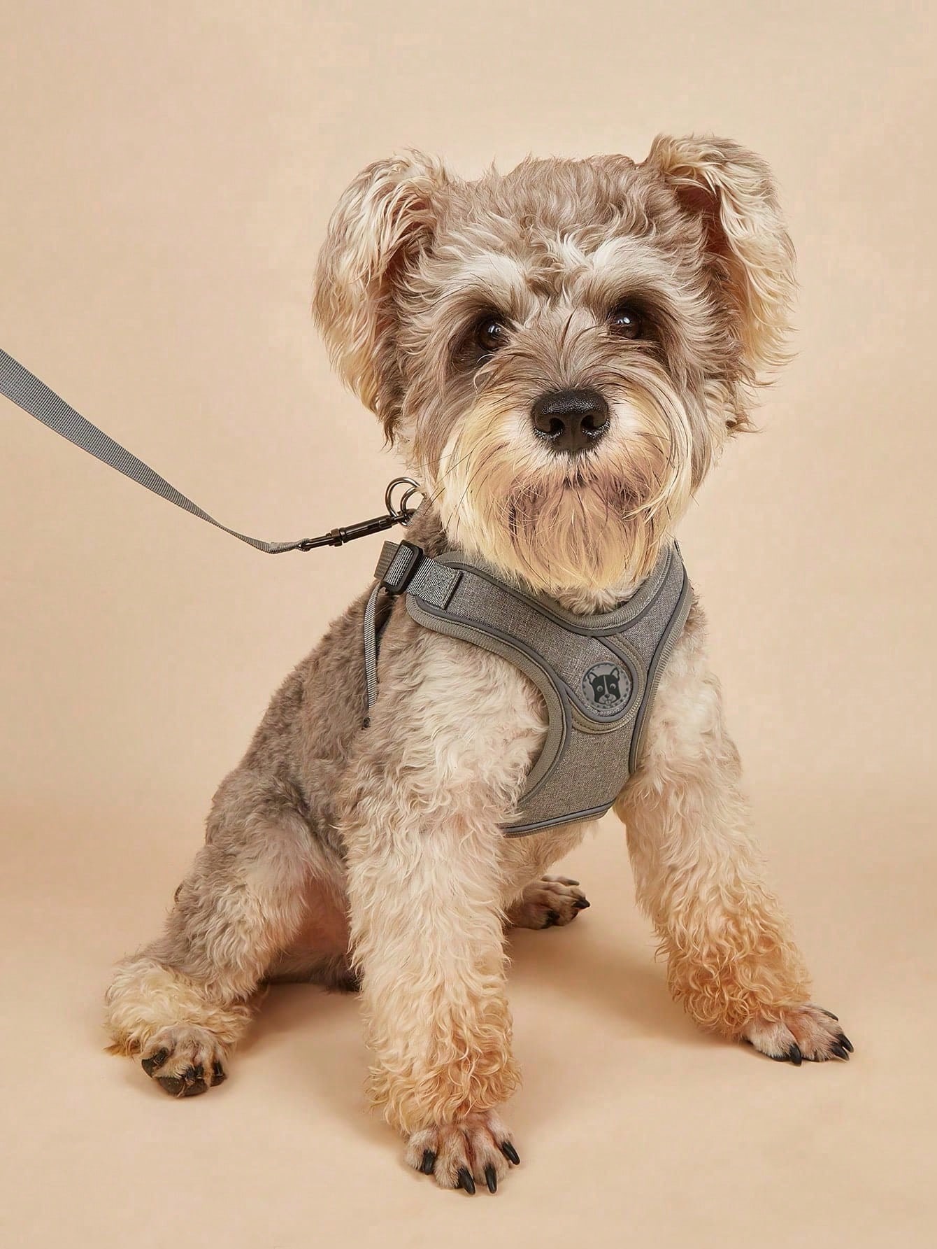 Running Gear Dog - Küçük Orta Boy Köpekler İçin Çekişsiz