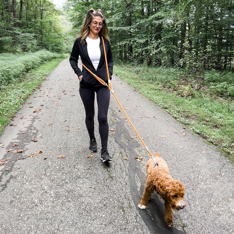 Running Gear Dog - Yürüyüş, Yürüme ve Koşu için Yansıtıcı