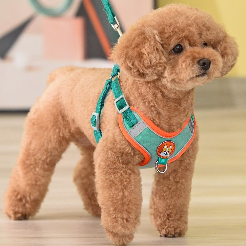 Running Gear Dog - Ayarlanabilir hiçbir çekme Pet yansıtıcı köpek