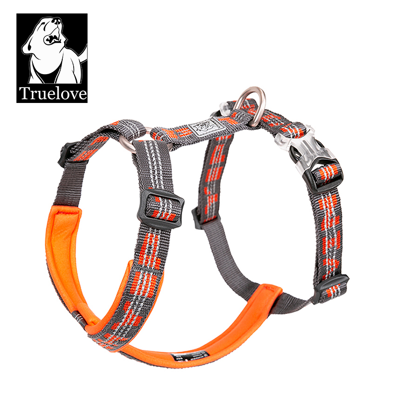 TRUELOVE evcil hayvan koşumu y - Running Gear Dog incelemesi ve fiyatı