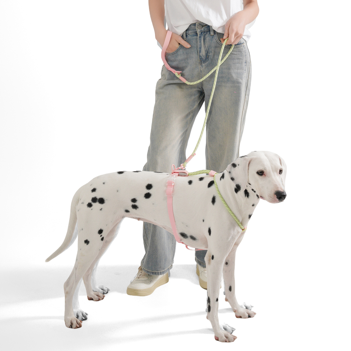 Küçük ve Orta Boy Köpekler İçi - Running Gear Dog incelemesi ve fiyatı