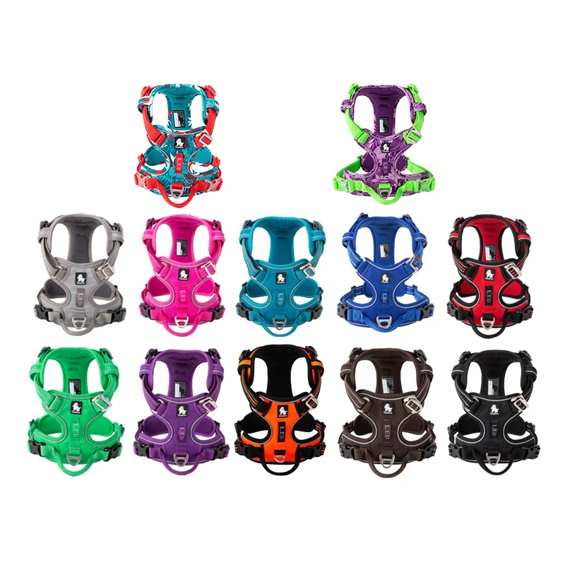 Truelove Pet Yansıtıcı Naylon  - Running Gear Dog incelemesi ve fiyatı