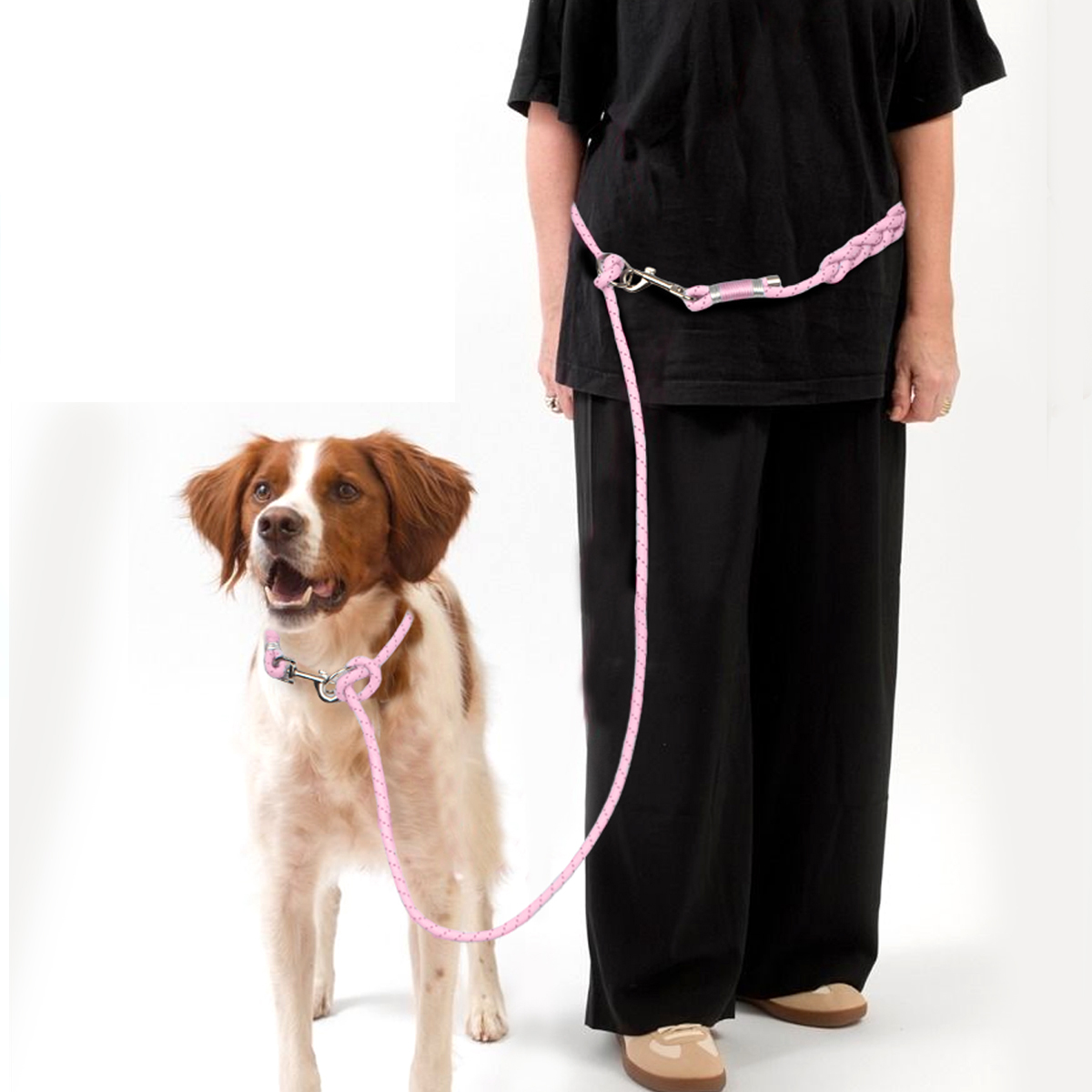 Evcil Köpek Tasmaları Ayarlana - Running Gear Dog incelemesi ve fiyatı