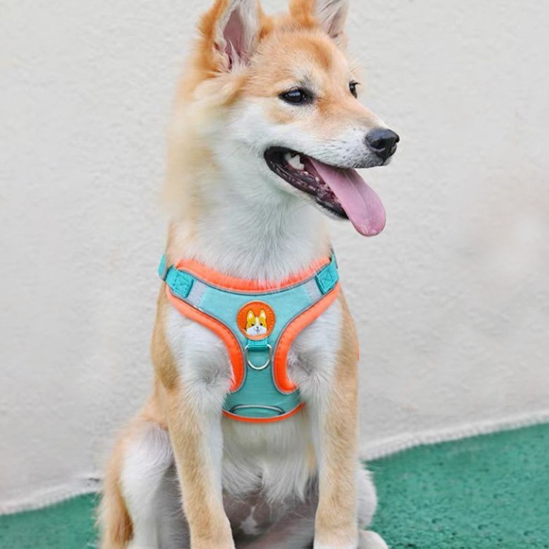 Ayarlanabilir hiçbir çekme Pet - Running Gear Dog incelemesi ve fiyatı